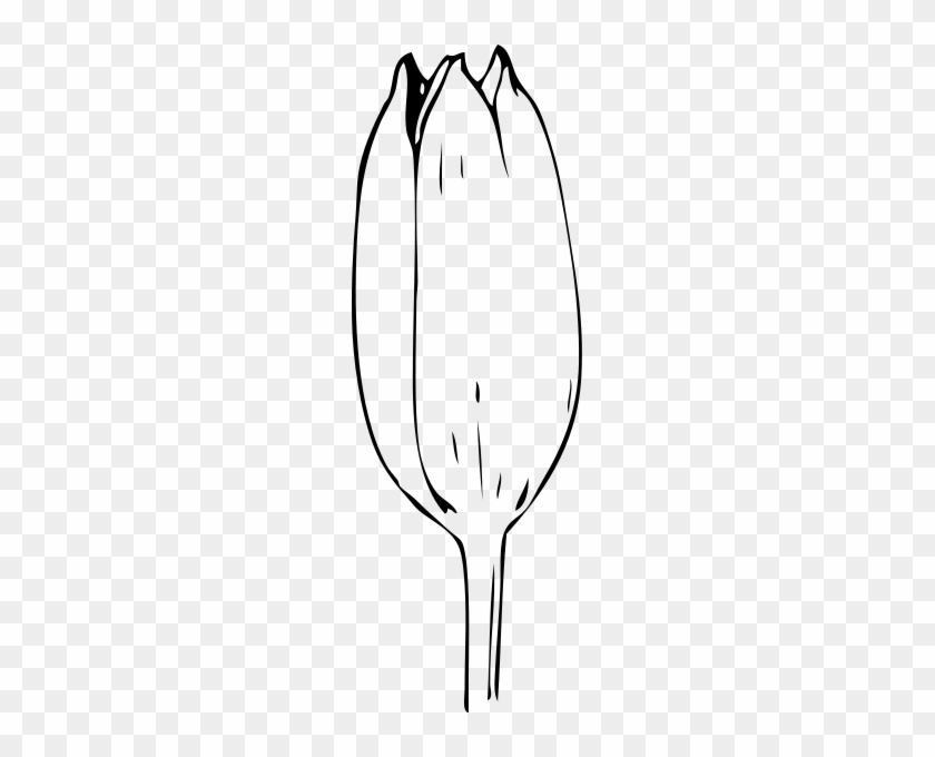 Tulip Bud Png Clip Arts - Bud Black And White #739578