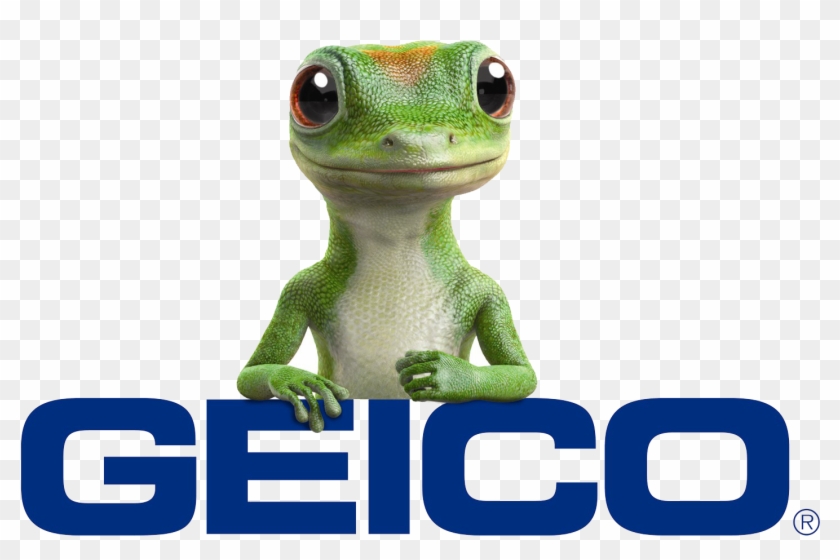 Usa Water Ski & Wake Sports Member Discount Overview - Geico Insurance #739640