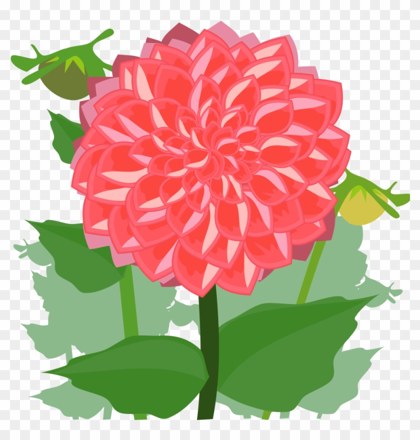 Dahlia - Dahlia Clipart #740062