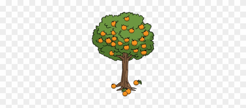 Decoration-orangetree - Illustration #740124