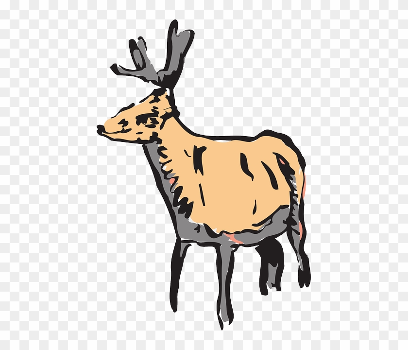 Unusual Deer, Style, Wild, Art, Animal, Unusual - Wildlife #740191