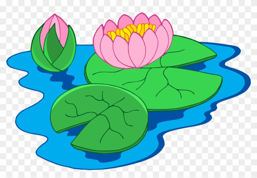 Nymphaea Alba Clip Art - Water Lily Plant Clipart #740349