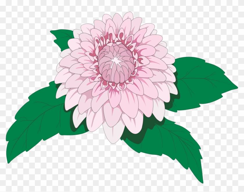 Drawing Dahlia Imperialis Flower Clip Art - Drawing Dahlia Imperialis Flower Clip Art #740418