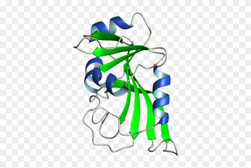 Dhfr Structure #741024