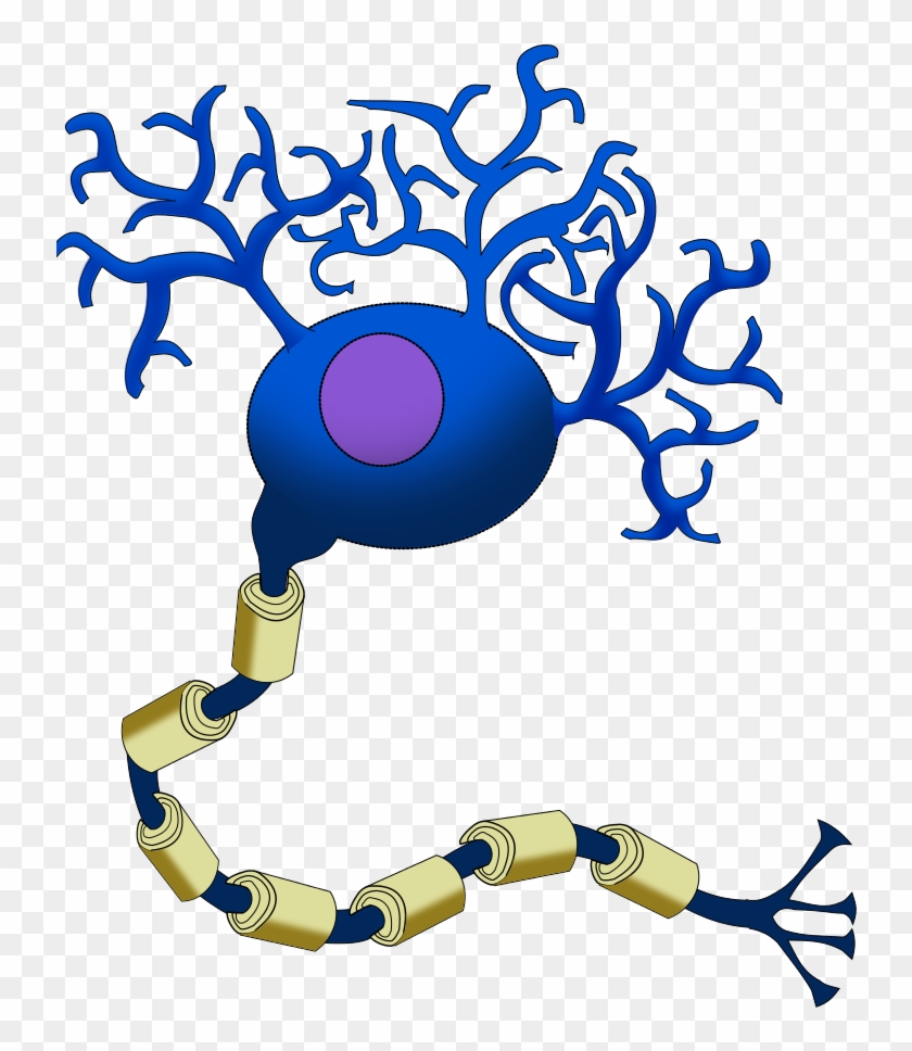 Neuron Cliparts 4, Buy Clip Art - Neuron Cliparts 4, Buy Clip Art #741029