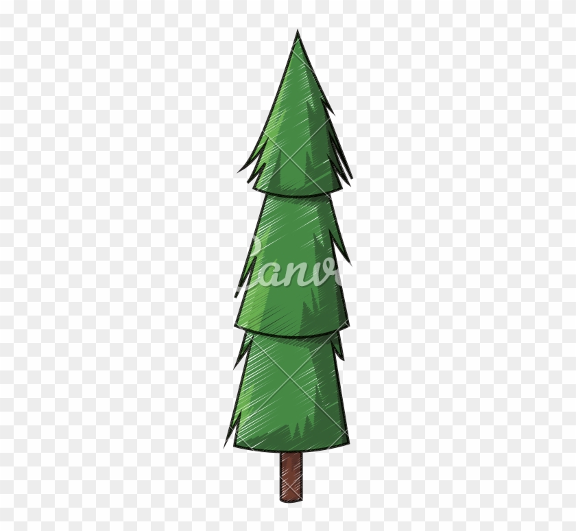 Cartoon Pine Tree Illustration - Trunk #741044