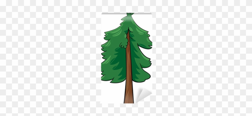 Cartoon Illustration Of Conifer Tree Wall Mural • Pixers® - Cartoon Pine Tree #741048