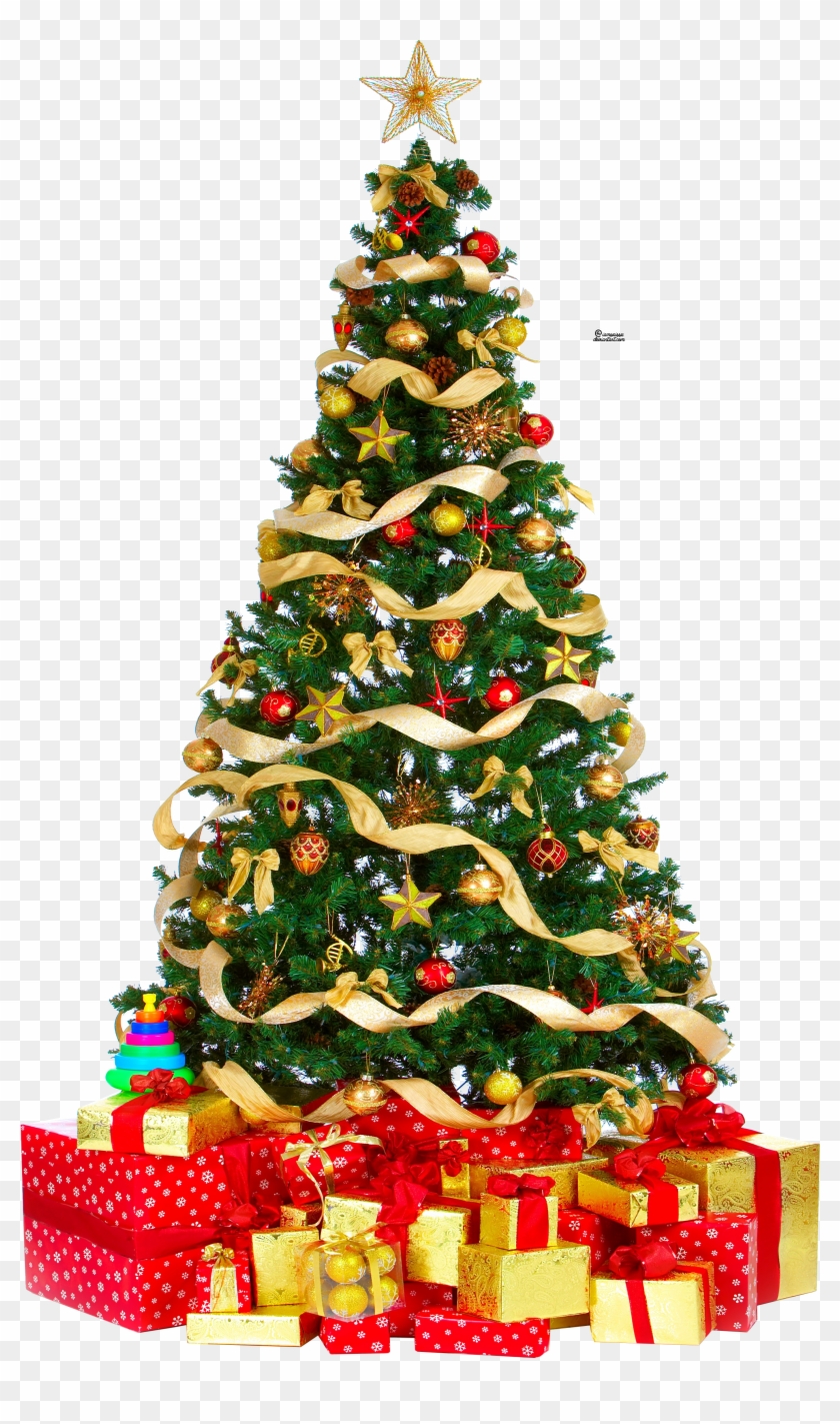 Download Free Photo Report - Christmas Tree Gif Animation - Free ...