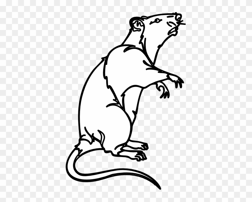 Rat Clipart - Dead Rat Black And White #741194