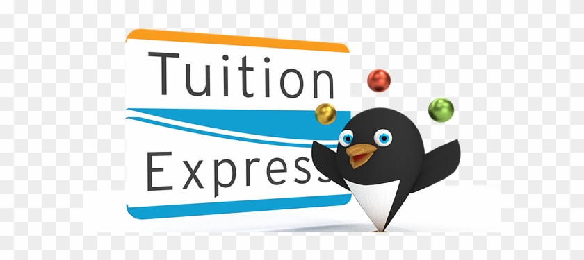 Tuition Express Is The Most Efficient And Safest Way - Tuition Express #741356