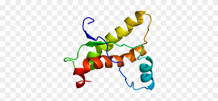 Answer Wiki - Prion Png #741488