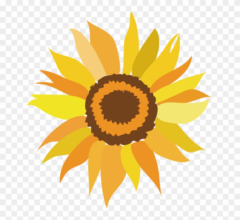 Zenfone 3 Ze520kl Common Sunflower Clip Art - Sunflower Vector Free #741499