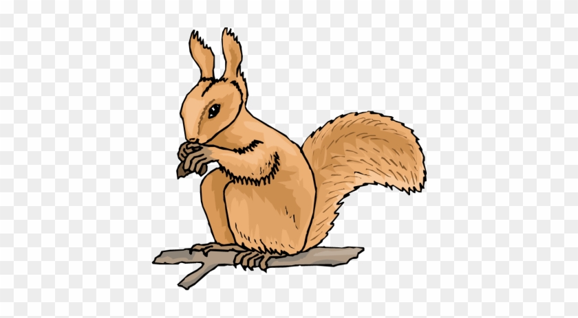 Animated Squirrel Clipart Free Squirrel Clipart Clipart - Squirrel Animated Clip Art #741593