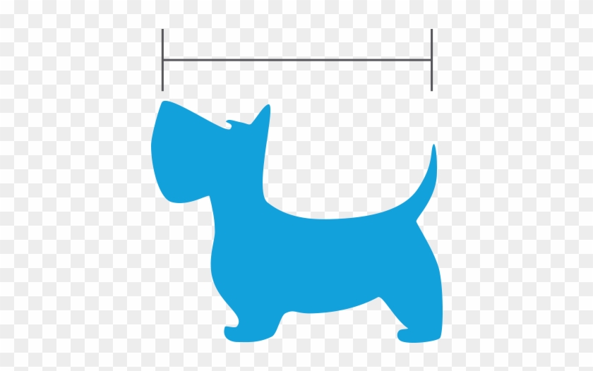 Nose To Tail Exam - Alt Attribute #741695