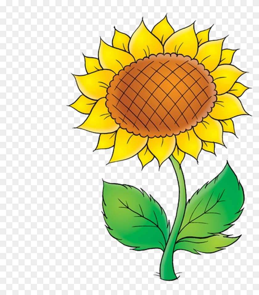 Common Sunflower Plant Clip Art - Common Sunflower Plant Clip Art #741828