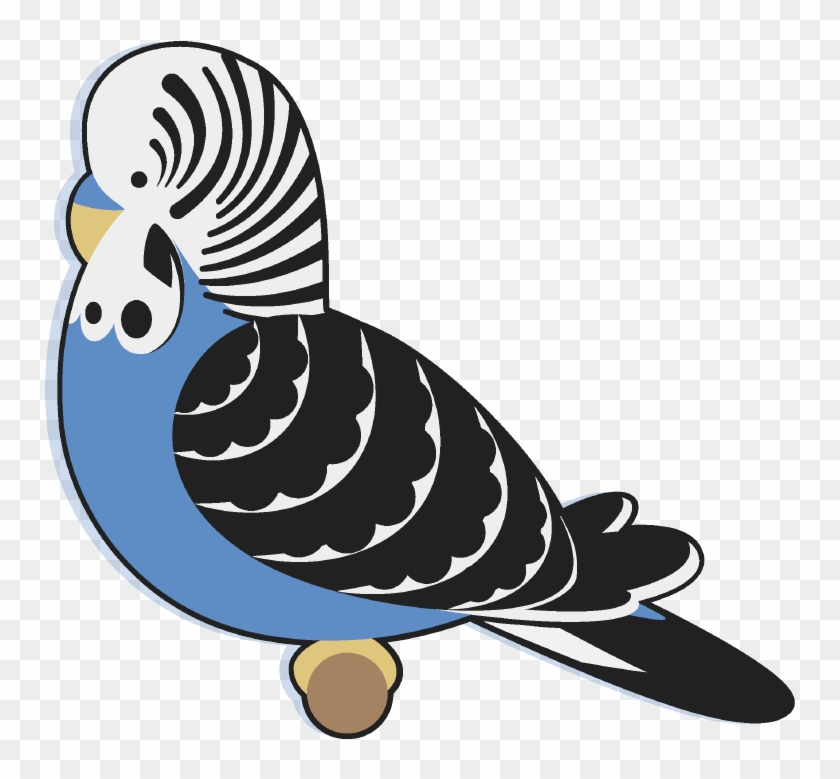 Budgie By Hevromero On Deviantart - Cartoon Budgie Png #741841