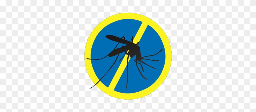Bam - Mosquito #742269