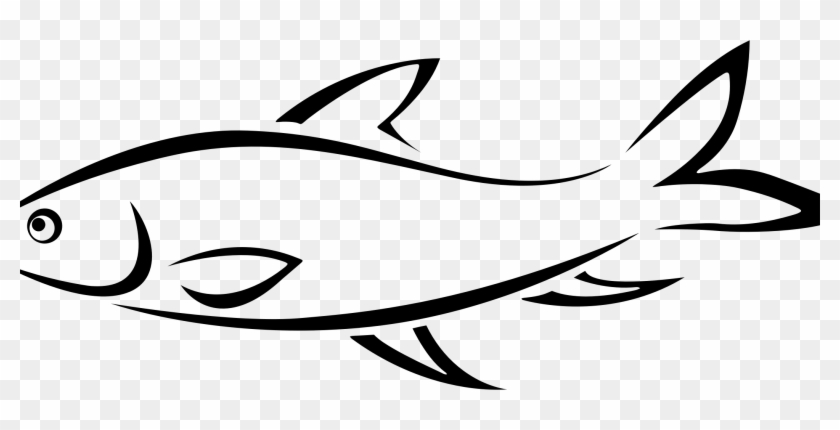 Custom Fishing Lures - Fish Line Drawing Png #742421