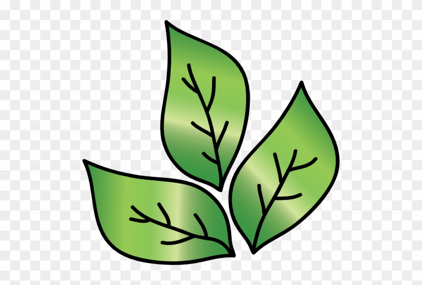 Leaf Icon - اوراق شجر كرتون #742460