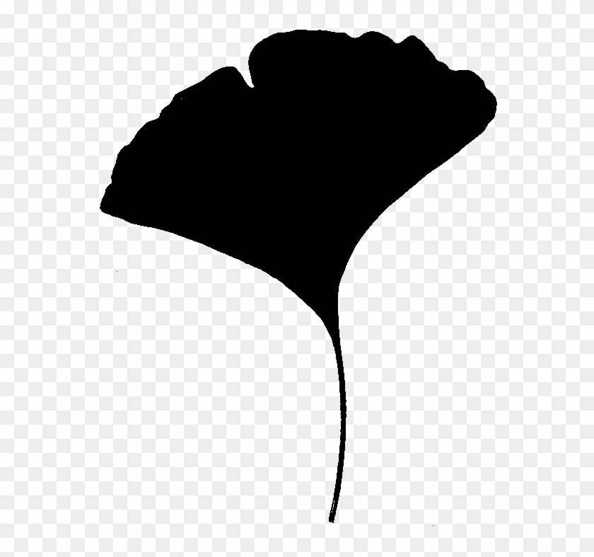 Gingko Trees - Ginkgo Leaf Silhouette #742534