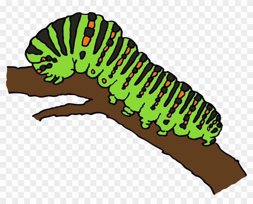 Worm Caterpillar Marshmallow Kisses Drawing Clip Art - Worm Caterpillar Marshmallow Kisses Drawing Clip Art #742641