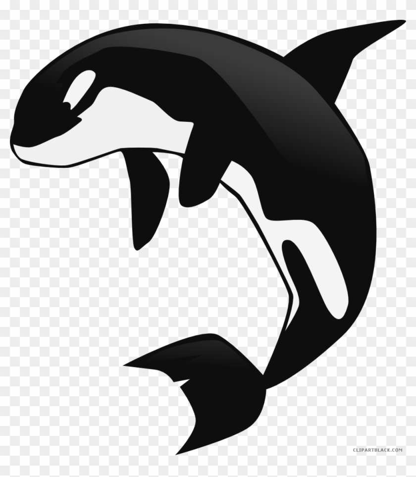 Orca Whale Animal Free Black White Clipart Images Clipartblack - Killer Whale Cartoon Png #742843