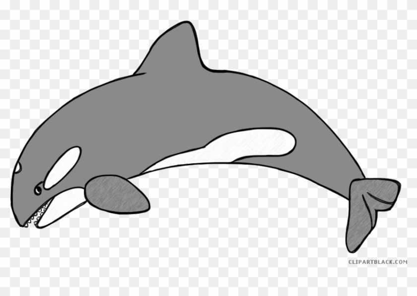 Orca Animal Free Black White Clipart Images Clipartblack - Antarctic Animals Clip Art #742846