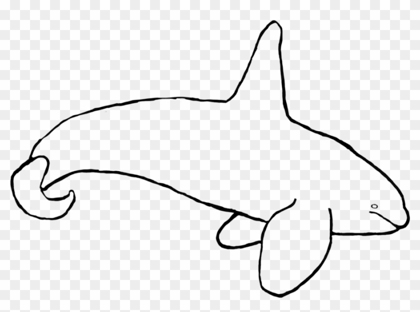 Free For Use Orca Bull Lineart By Rockypockypuff - Clip Art #742855
