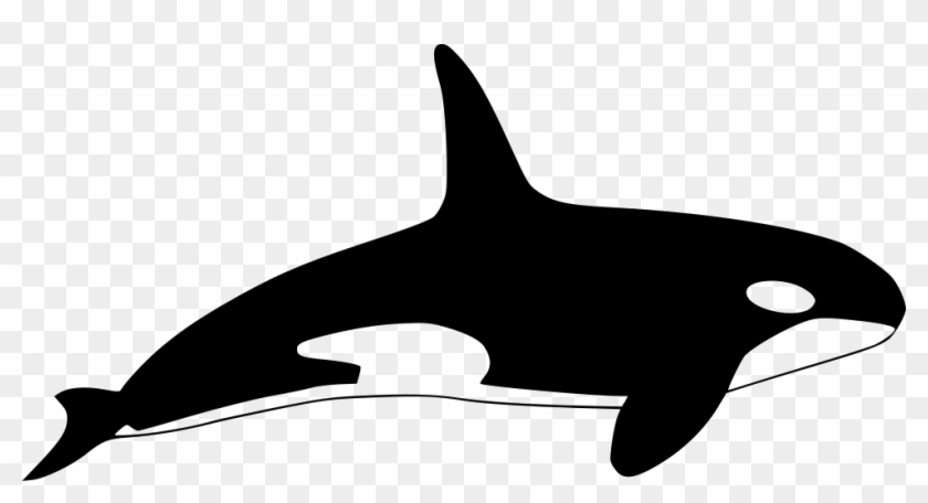 Orca Comments - Orca Icon Png #742857