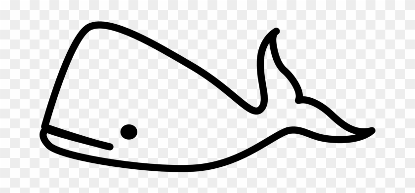 Whale Mammal Ocean Sketch Breaching Big Ma - Outline Of A Whale #742862