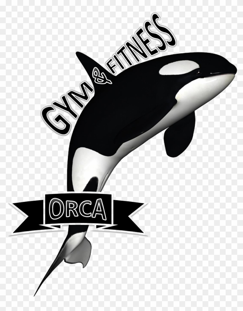 Orca Png #742872