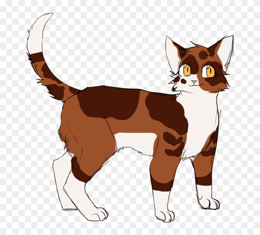 Spottedpaw Spottedleaf Warriors Warrior Cats Spottedleaf's - Warriors #742946