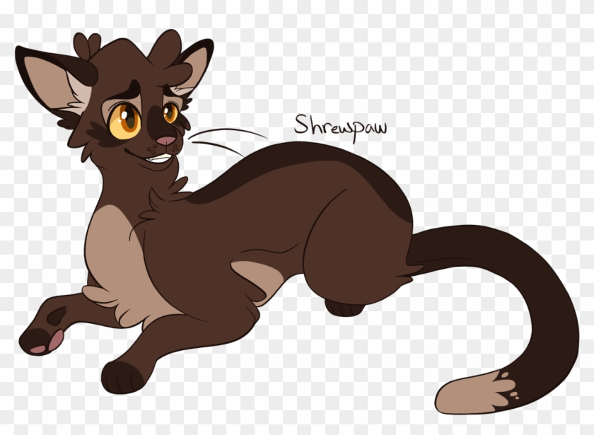 Shrewpaw Thunderclan Warriors Warrior Cats Fernsong22 - Warrior Cats Shrewpaw #742967