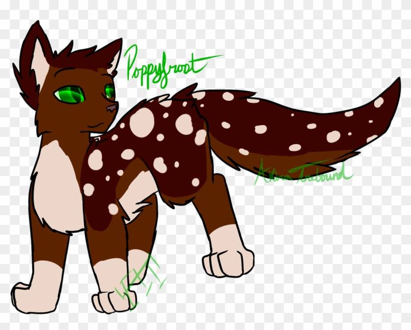 Poppyfrost Warrior Warrior Cats Thunderclan - Tumblr #742971