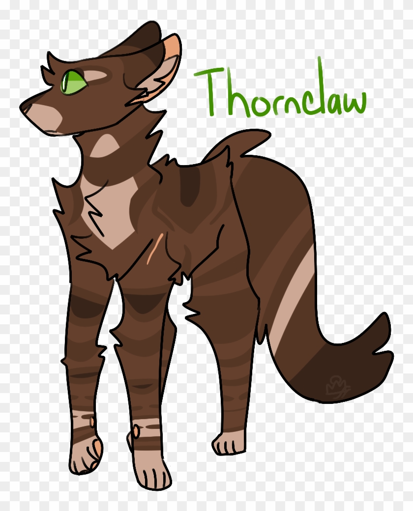 Thornclaw Thunderclan Thistleeteethe - Thunderclan #742997