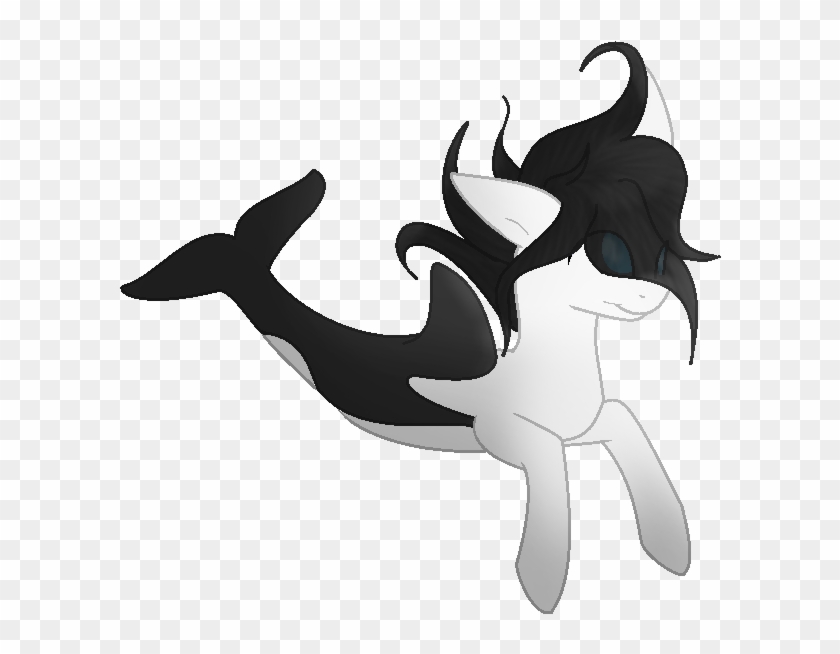 Orca Pony Adopt - Illustration #743006