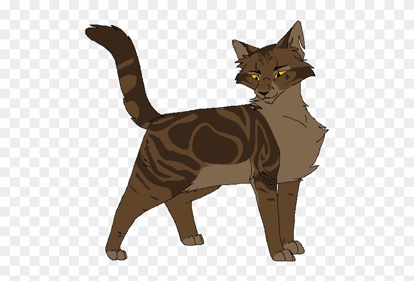 Tigerstar Tigerheart Tigerpaw Tigerkit Shadowclan Thunderclan - Tigerstar #743011