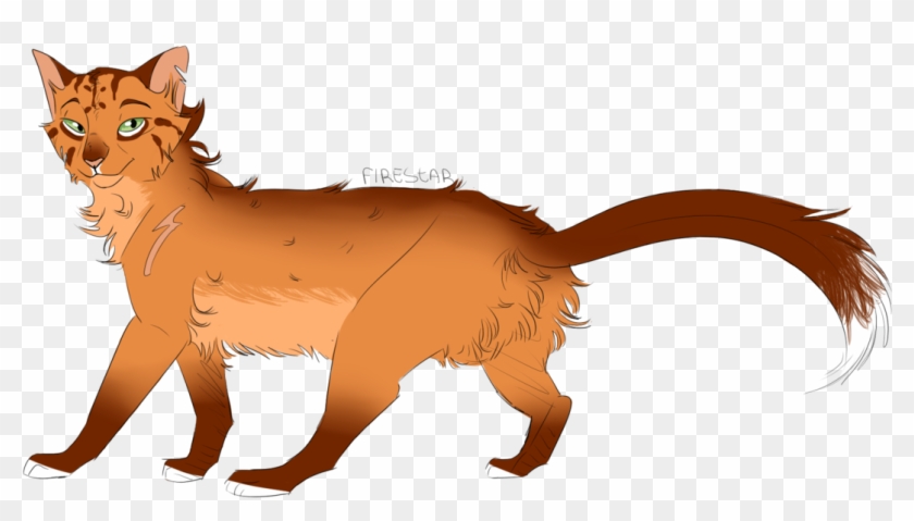 Blackstar Firestar Bluestar Tallstar Thunder Clan Shadowclan - Firestar #743017