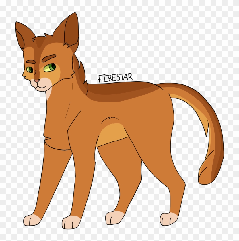 Firestar Warriors Leader Thunderclan Redraw A Lot Of - Thunderclan #743028