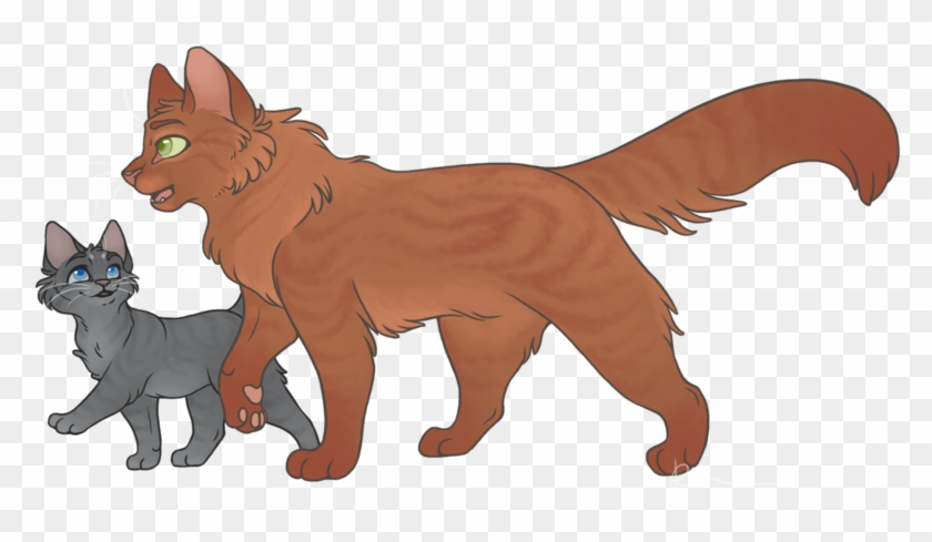 Warrior Cats Thunderclan Warriors And Apprentices - Apprenticeship #743031