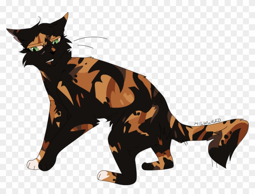 Milkweed Rogue The Early Settlers Thunderclan - Tiger #743085