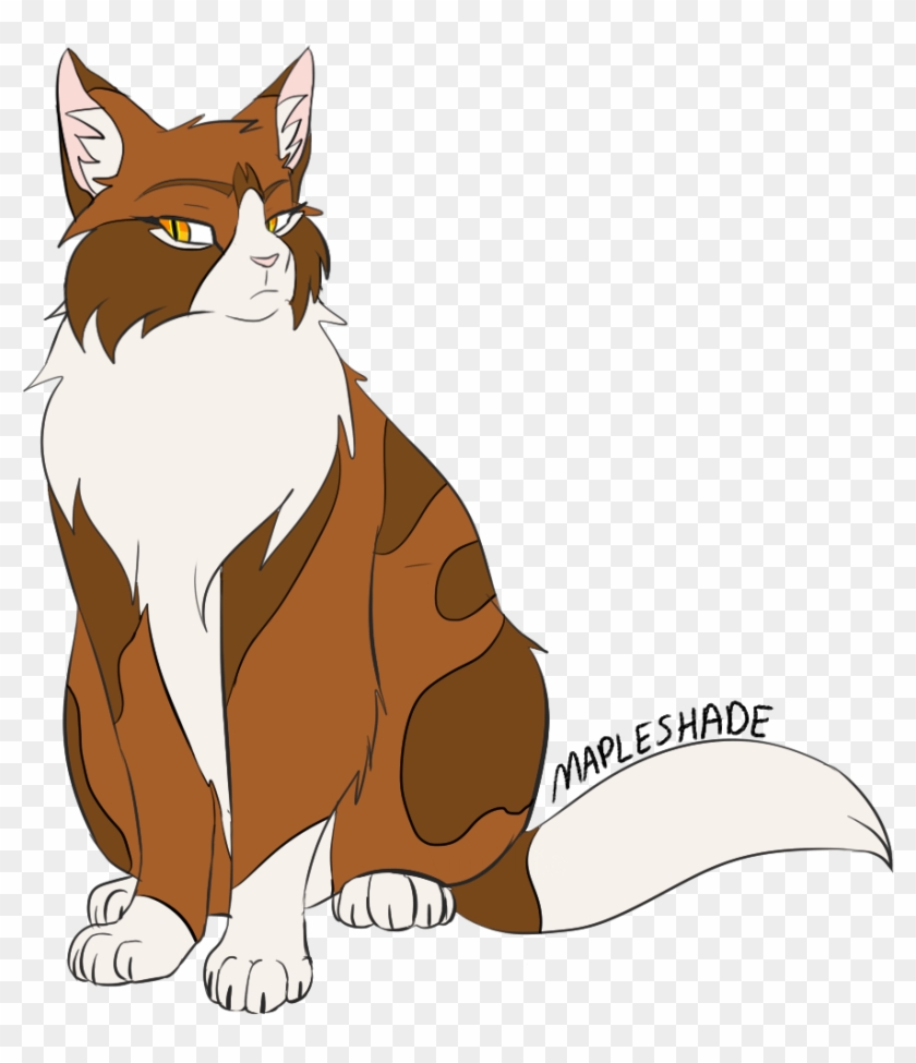 Mapleshade Maple Thunderclan Loner Rogue The Dark Forest - Mapleshade #743106