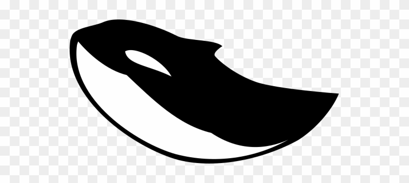 Accueil - Accueil #743115