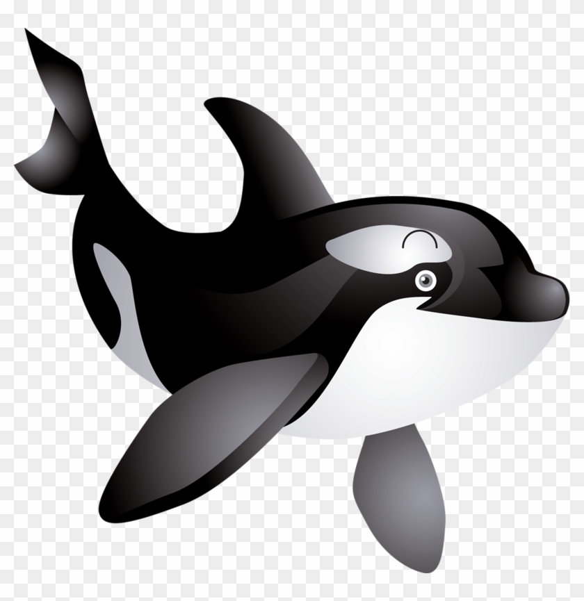 Яндекс - Фотки - Cute Killer Whale Clip Art #743123