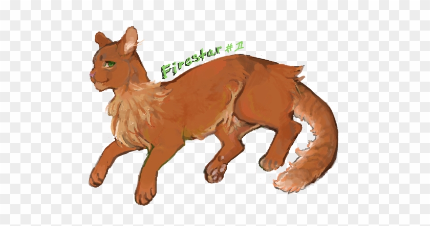 Thunderclan Firestar Art Tawny-pelt - Firestar #743135