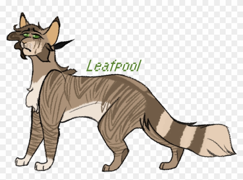 Doe Dies Warrior Cats Challenge Leafpool Design 7 Thunderclan - Puma #743137