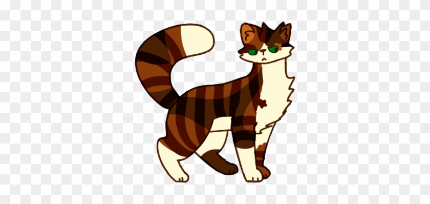 Tawnypaw Apprentice Thunderclan Warrior Shadowclan - Cartoon #743149