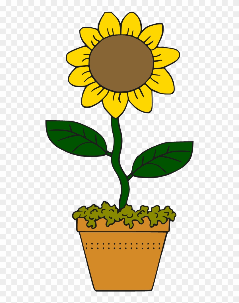 Common Sunflower Cartoon Drawing Clip Art - Sunflower Cartoon Png #743163