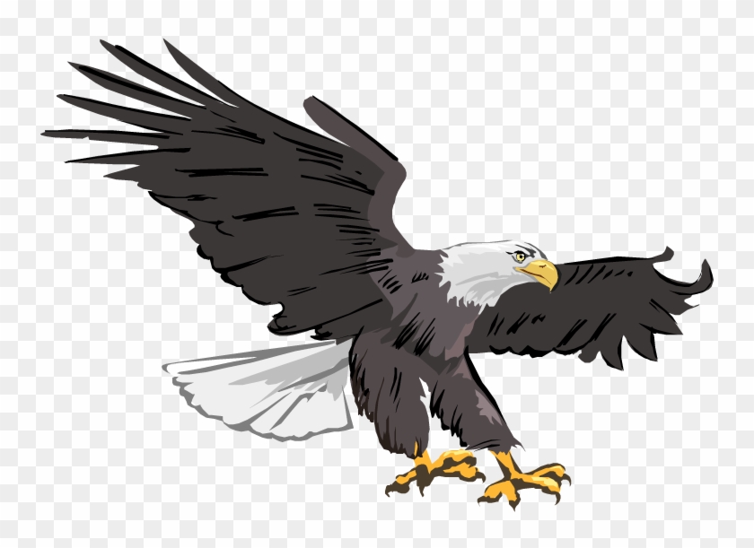 Bald Eagle Clipart Images Free - Eagle Clipart #743269