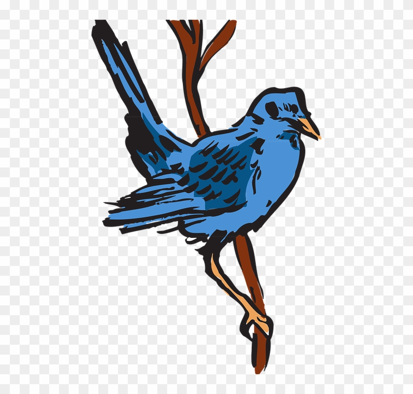 Free Bluebird Clipart 15, Buy Clip Art - Gambar Seni Fauna #743277